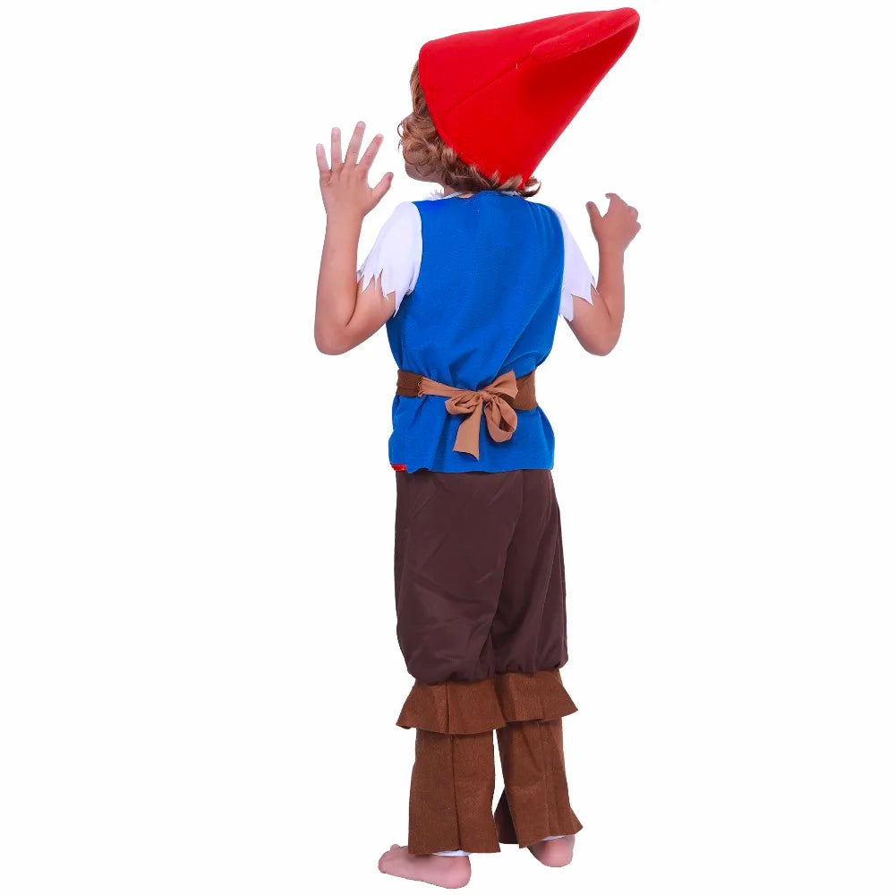 Fantasia Infantil Gnomo